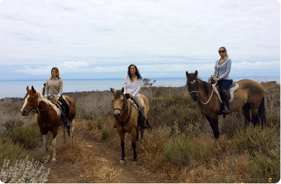 Horse Riding Lessons