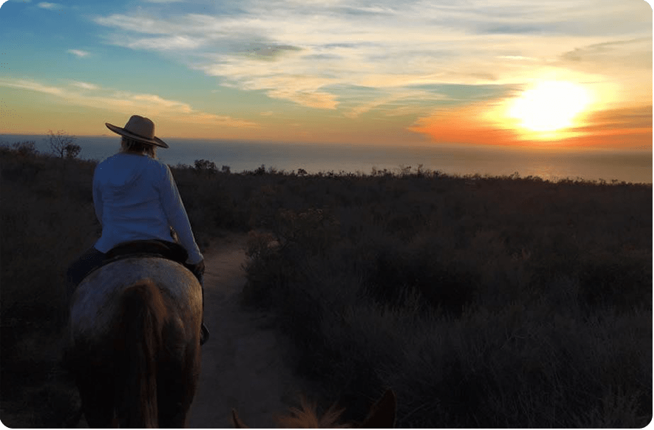 Equine Coaching
